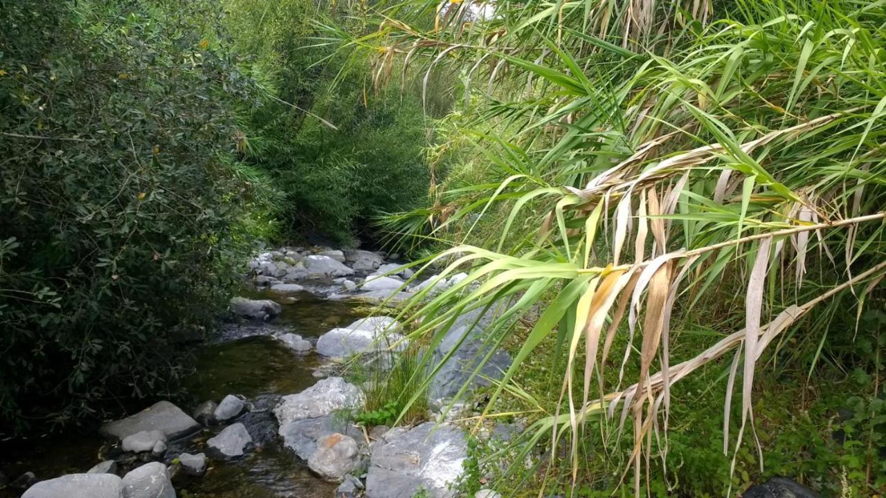 Secret Garden Retreats Hotel Juzcar Bagian luar foto